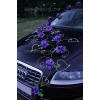 Koristelu hääauto violetti ruusuja