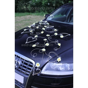 Hääauton koristelu keltainen koiranputkea