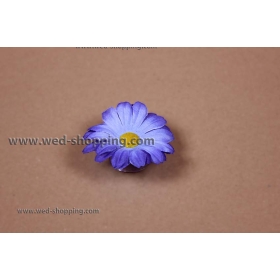 Sininen päivänkakkaran imukupit häät auton sisustus