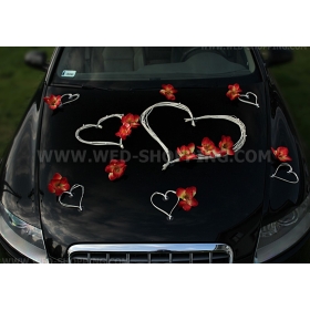 Valkoinen sydämet Häät auto punainen orkideat pakki