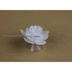 Valkoiset ruusut imukupit häät auton sisustus