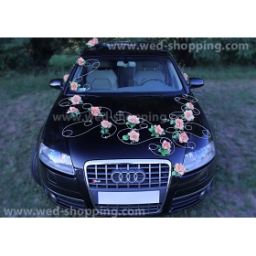 Kunniamerkki Salmon ruusut hääauto