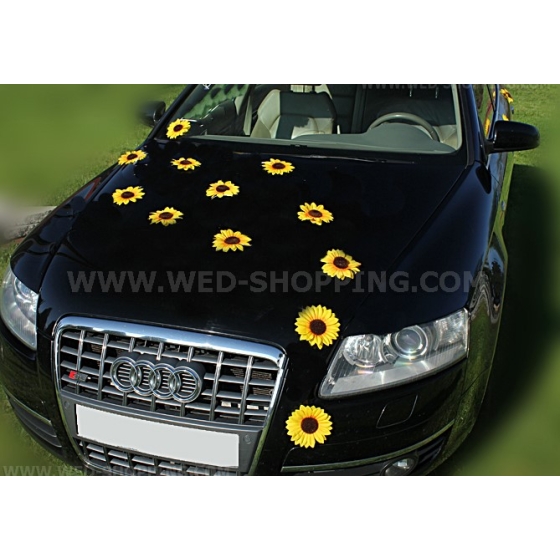 Auringonkukat imukupilla Koristelu hääauto