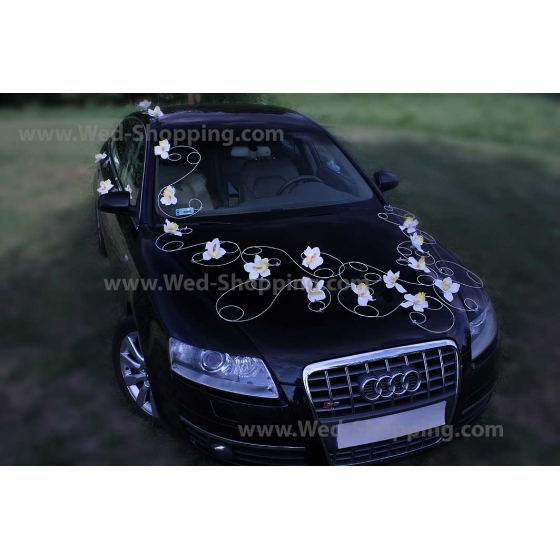 Kunniamerkki hääauto valkoinen orkideat