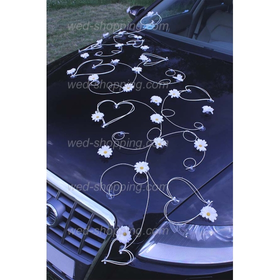 Hääauton koristelu valkoinen koiranputkea