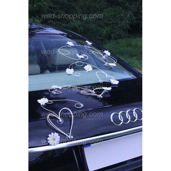 Hääauton koristelu valkoinen koiranputkea