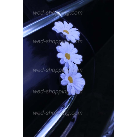 Hääauton koristelu valkoinen koiranputkea