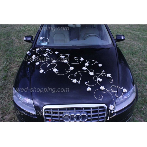 Hääauton koristelu valkoinen koiranputkea