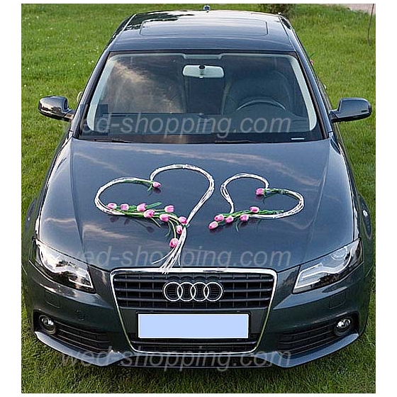 Kunniamerkki häät auto