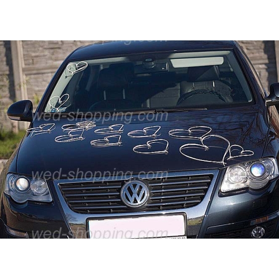 Kunniamerkki häät auto