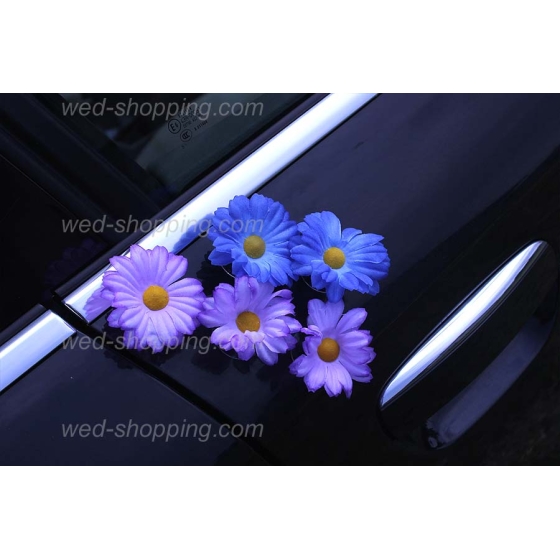 Kunniamerkki hääauto violetti-sininen koiranputkea