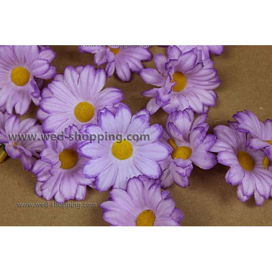 Violetti päivänkakkaran imukupit häät auton sisustus