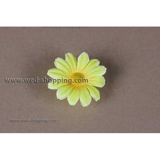 Keltainen päivänkakkaran imukupit häät auton sisustus