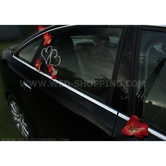 Valkoinen sydämet Häät auto punainen orkideat pakki