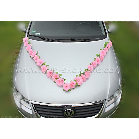 vaaleanpunainen ruusuja imukupilla