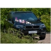 Déco Set  de voiture mariage  rose et Blanches