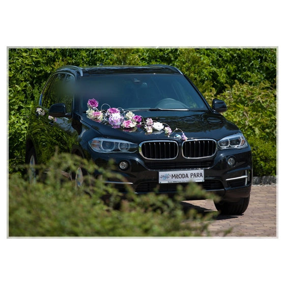 Déco Set  de voiture mariage  rose et Blanches